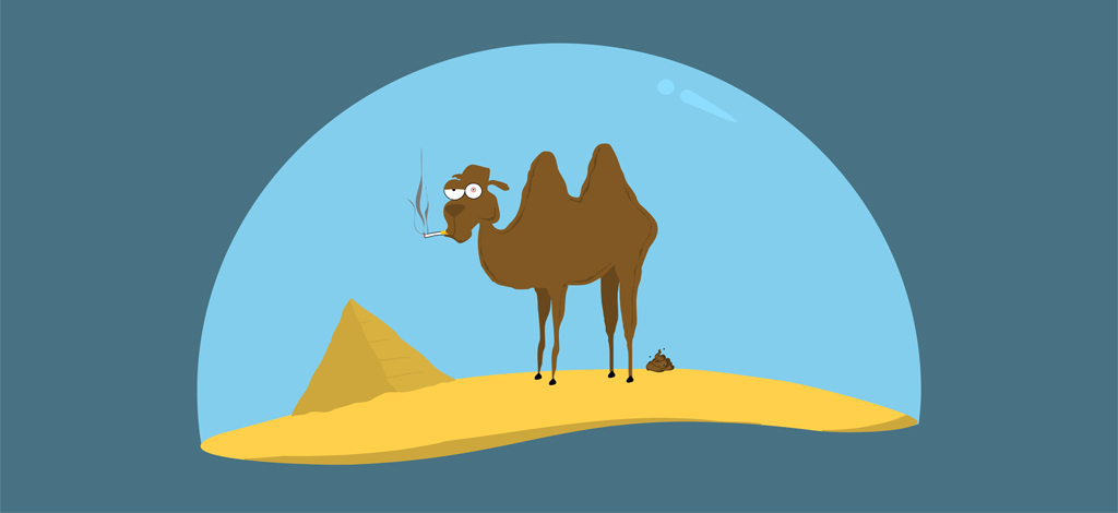 Orriart | Camel